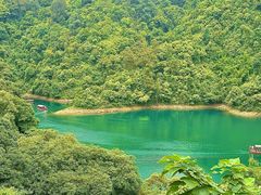 -鼎香皇高佬苏裹蒸粽