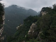 -牛背梁国家森林公园