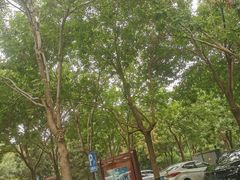 -大兴滨河森林公园