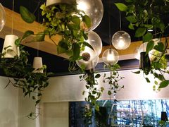 -柴务处·柴犬主题狗咖