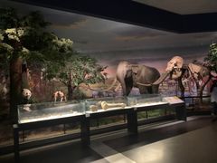 -湖南省地质博物馆