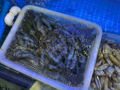 -威海渔村(静安旗舰店)