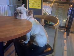 -平行世界·猫咖(首经贸店)
