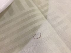 -金杏·粘卷子 烤鸭 农家菜