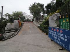 -银湖山郊野公园-相思林