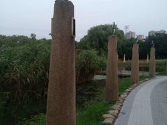 -昆山城市生态森林公园