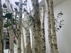 -极简口腔(总院)
