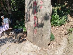 -紫金山山顶公园