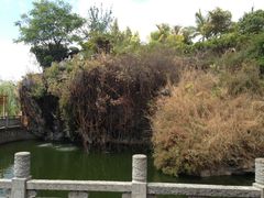 -南诏风情岛