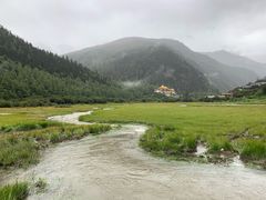 -稻城亚丁景区-冲古草甸