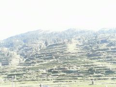 -一杯黔茶(西江千户苗寨古街店)