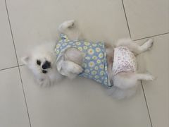 -怪兽屋·羊驼·猫咖·狗咖(俊华广场店)