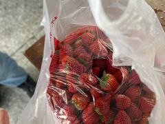 -江杨农产品批发市场