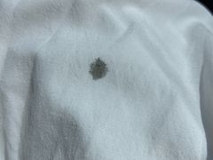 -泰顺江南春面馆