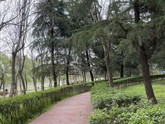 -洨河生态公园