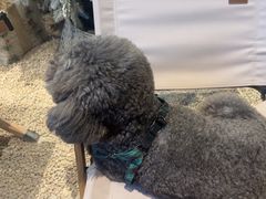 -J Create城市露营咖啡·简餐·宠物(上海动物园店)