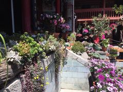 -寂照庵