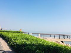 -深圳湾公园(南山区)