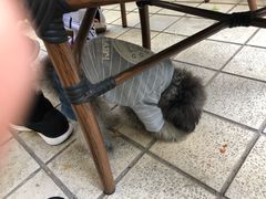 -默迹咖啡馆