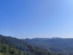 -大姆山草场