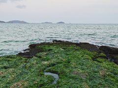 -宴悦海鲜餐厅·游水海鲜·牛排(亚龙湾瑞吉店)