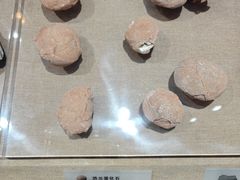 -烟台市博物馆