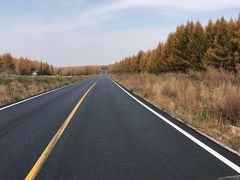 -塞罕坝国家级自然保护区