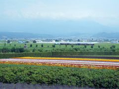 -富田农场
