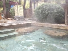 -崇阳三特浪口温泉