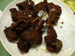 羊排-阿莉餐厅(枣阳路店)