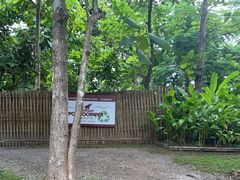 -大象粑粑造纸公园