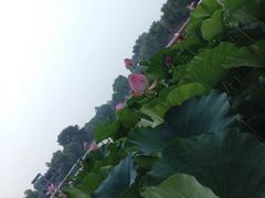 小王府(什刹海店)-小王府(什刹海店)