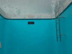 -金泽21世纪美术馆