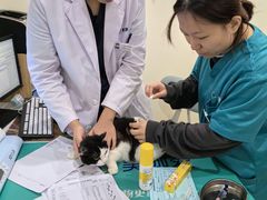 -美迦爱-牙专科·兔科·骨科诊疗中心(北苑店)