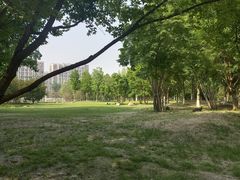 -回龙观体育文化公园