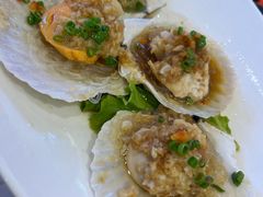 蒜蓉扇贝-渔家风味·鲅鱼水饺·央视展播·海鲜天津菜(开发区店)