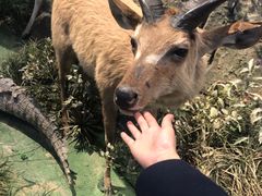 -陕西自然博物馆