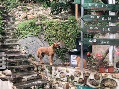 -北京水岸山吧度假村(雁栖镇店)