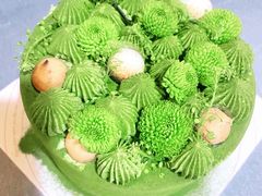 宇治抹茶蜜红豆小雏菊-小苍兰风铃草蛋糕甜品(沈阳店)