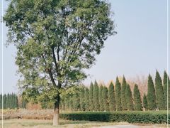 -汉景帝阳陵博物院