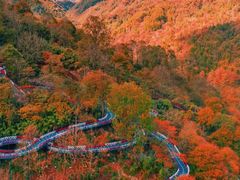 -光雾山旅游景区