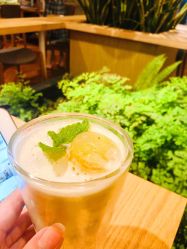 -悦诗风吟innisfree