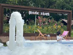 -金鸡湖桃花岛