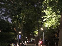 -静安公园(静安寺街道)