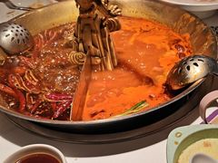 -小龙翻大江文化火锅(宽窄店)