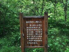 -帽儿山风景区