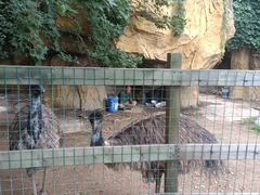 -石家庄市动物园