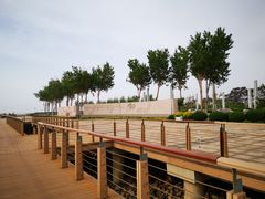-东疆建设开发纪念公园