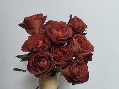 -双季花艺园艺市场(浦东店)