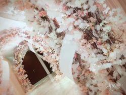 -上海中心宴会厅·婚礼中心
